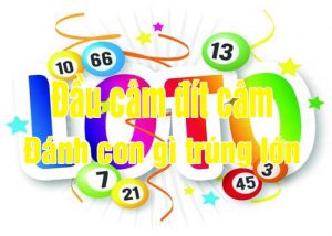 Đ&aacute;nh l&ocirc; c&acirc;m thắng lớn với l&ocirc; c&acirc;m đầu đ&iacute;t